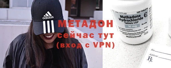 индика Козловка