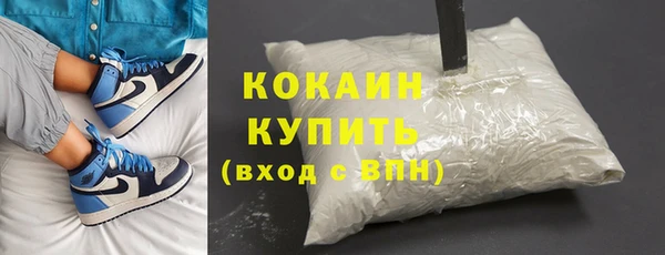 индика Козловка