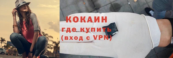 индика Козловка