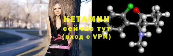 индика Козловка
