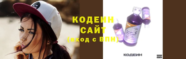 индика Козловка
