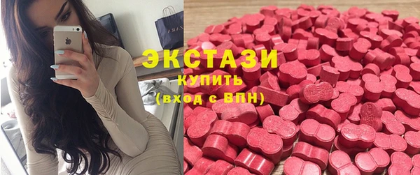 индика Козловка