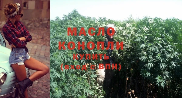 индика Козловка