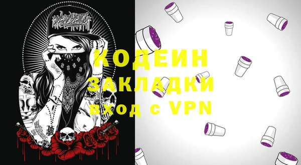 индика Козловка