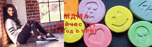 индика Козловка